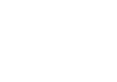 Brooke Drassal Equine Bodywork