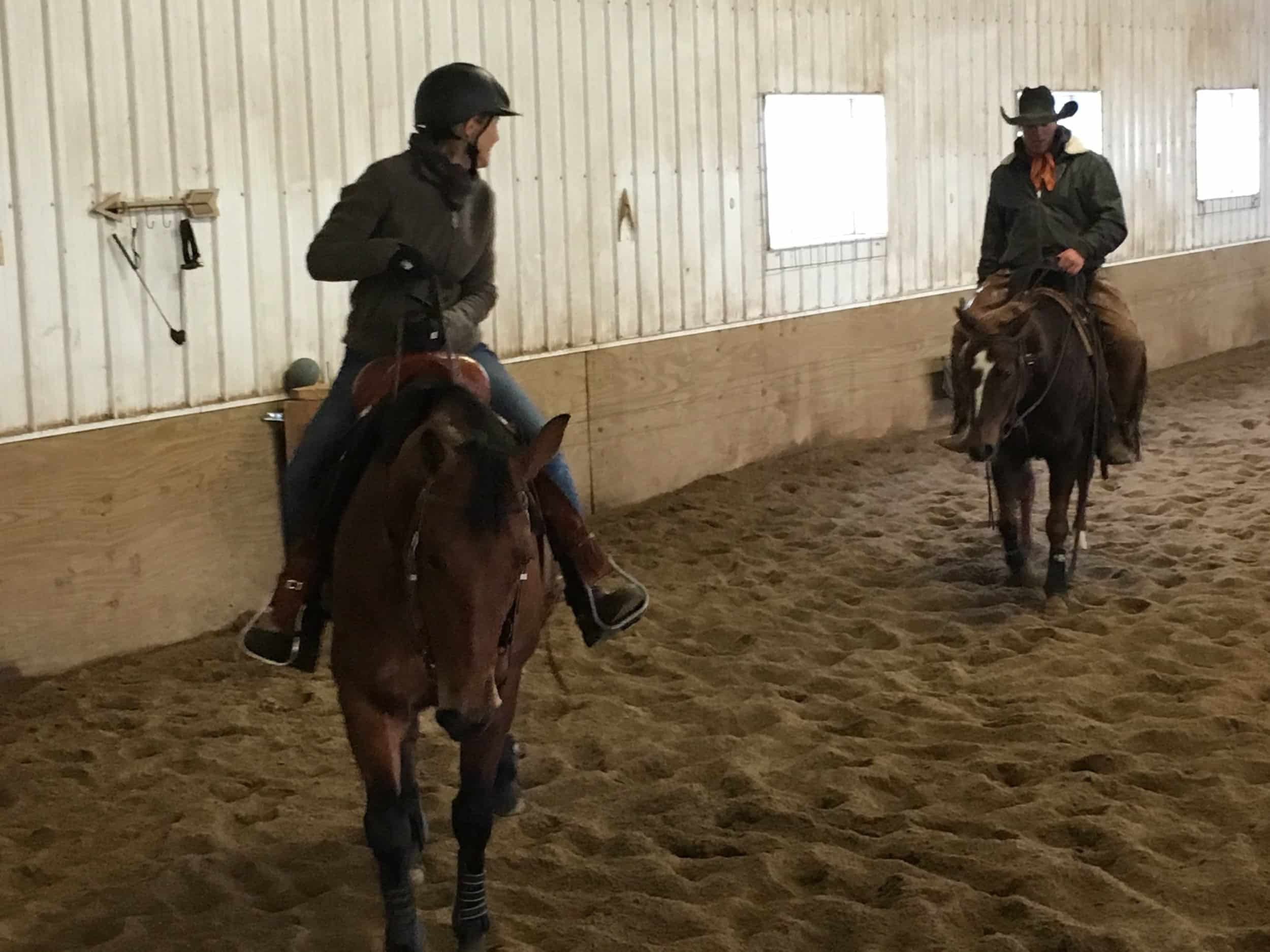 FES and a Quarter Horse Named Penny -Cutting Cows Again After a Suspensory Injury
