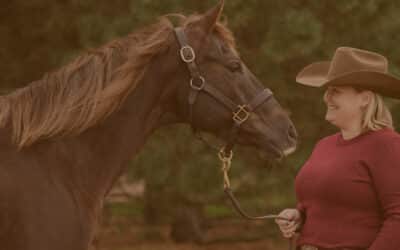 How to help your mare during her heat cycle