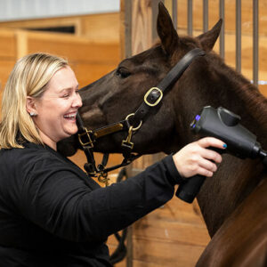 Horse Owners Guide to Using a Massage Gun